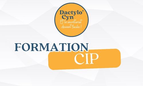 Le programme de formation "Devenir Conseiller en Insertion Professionnelle
