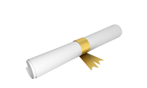 Le REAC SAMA : référentiel métier du Titre Professionnel